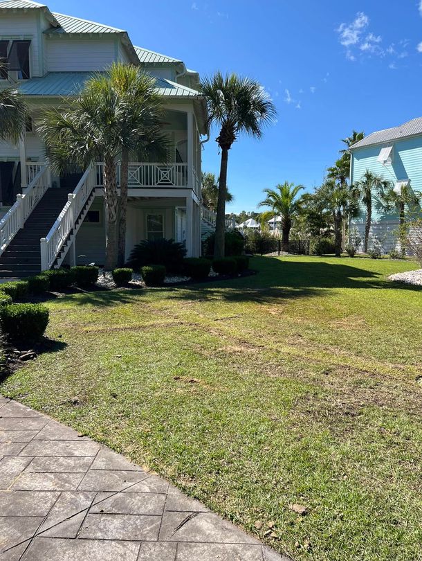 Yard with palm trees